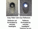 Easy_Rider_Cats_Eyes
